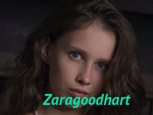 Zaragoodhart