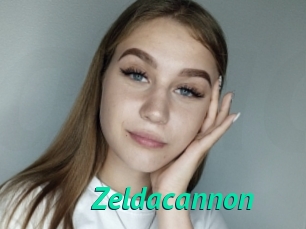 Zeldacannon